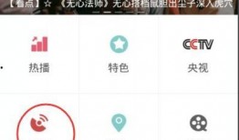 明星吃瓜爆料直播付费软件,揭秘直播付费软件背后的热门爆料